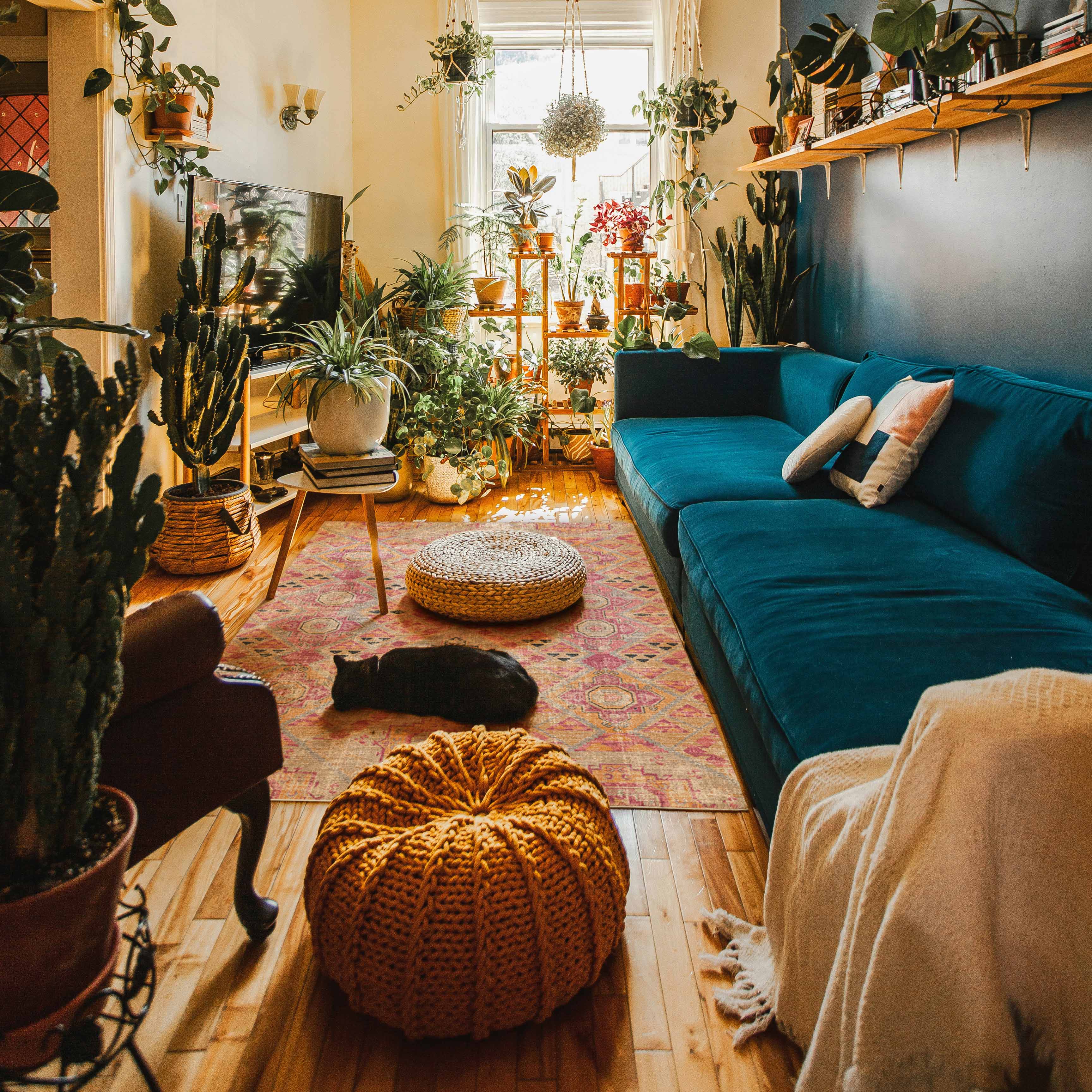 Hypoallergenic Rugs